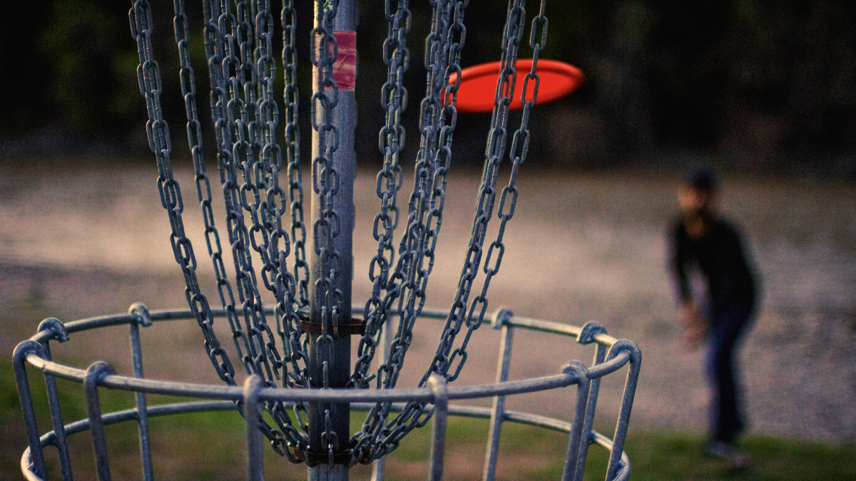 How to find the perfect Disc for you